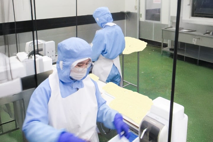 そう菜製造